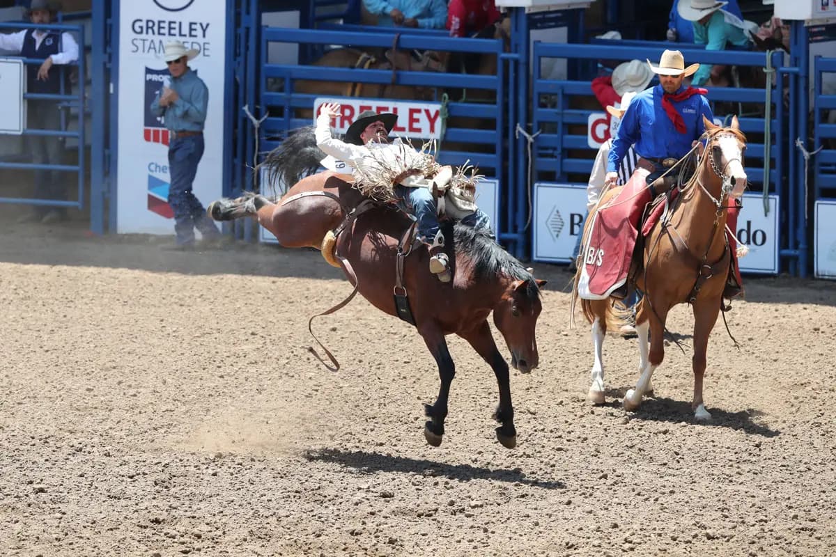 Greeley Stampede